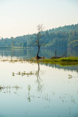 Tayland 'ın Chiangmai ilindeki Huay Tueng Tao gölünün manzara manzarası.