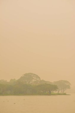 Kwan Phayao Gölü kış mevsiminde, Tayland.