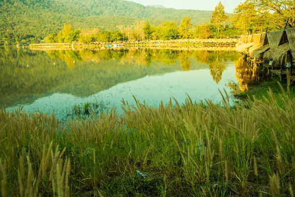Landschap Uitzicht Huay Tueng Tao Meer Chiangmai Provincie Thailand — Stockfoto