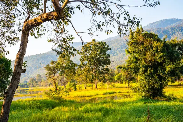 Tayland 'ın Chiangmai ilindeki Huay Tueng Tao gölünün manzara manzarası.