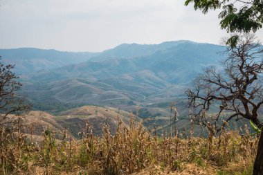 Tayland 'ın Phayao eyaletindeki dağ manzarası.