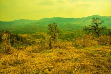 Tayland 'ın Phayao eyaletindeki dağ manzarası.