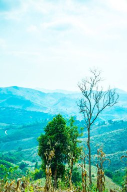Tayland 'ın Phayao eyaletindeki dağ manzarası.