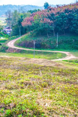 Tayland kırsallı Laterite Yolu, Tayland.
