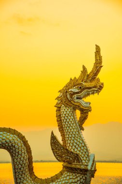 Beyaz Naga heykeli Kwan Phayao 'da akşam güneşli, Tayland.