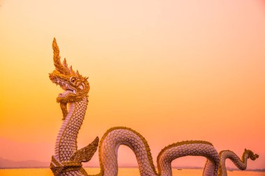 Beyaz Naga heykeli Kwan Phayao 'da akşam güneşli, Tayland.