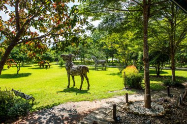 Cherntawan Uluslararası Meditasyon Merkezi, Tayland 'daki Park.