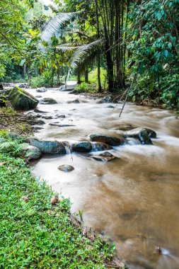 Su, Tayland 'ın Chiang Rai ilindeki Khunkorn şelalesinde akıyor..