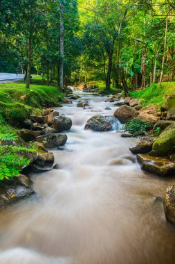 Su, Tayland 'ın Chiang Rai ilindeki Khunkorn şelalesinde akıyor..