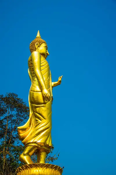 Περπάτημα Χρυσό Άγαλμα Buddha Phra Ότι Khao Noi Ναό Ταϊλάνδη — Φωτογραφία Αρχείου