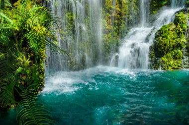 Waterfalls and green water in the pond at Chiang Mai province, Thailand. clipart