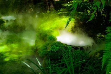 Tayland 'ın Chiang Mai eyaletinde serin buharlı gölgeli bir bahçe..