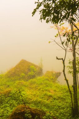 Tayland 'da sisli göl manzarası.