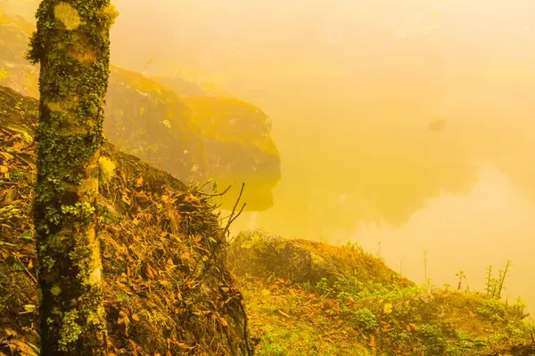 Tayland 'da sisli göl manzarası.