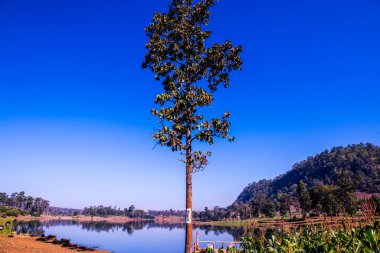 Tayland 'ın Chiangmai eyaletinde göl manzarası.