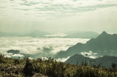 Chiangrai Eyaleti, Tayland 'daki Phu Chi Fa Manzara Noktasında Sis Denizi.