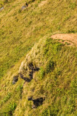 Tayland 'ın Chiangrai eyaletindeki Phu Chi Fa Manzarası' nda Dağ Manzarası.