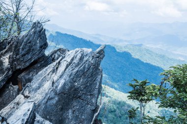 Chiangrai, Tayland 'da Doi Pha Tang' da Manzara Noktası.
