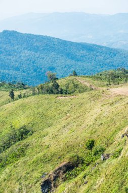 Tayland 'ın Chiangrai eyaletindeki Phu Chi Fa Manzarası' nda Dağ Manzarası.