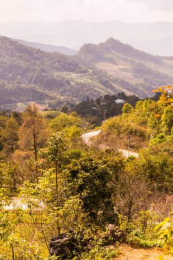 Tayland 'ın Chiangrai eyaletindeki Doi Pha Tang' da Dağ Manzarası.