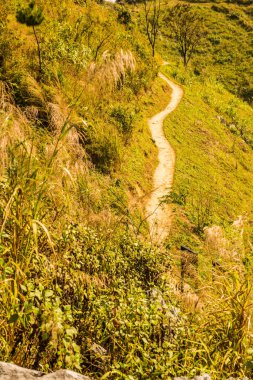 Tayland 'ın Chiangrai eyaletindeki Doi Pha Tang' da Dağ Manzarası.