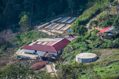Doi Pha Tang, Tayland 'daki köy manzarası.