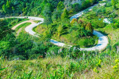 Tayland 'ın Chiangrai eyaletindeki Doi Pha Tang' da Dağ Manzarası.