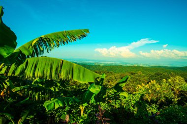 Kwan Phayao Gölü, Tayland.