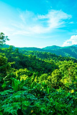 Tayland 'ın Phayao eyaletinde dağ manzarası.