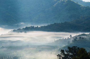 Phu Langka Ulusal Parkı, Tayland Güzel Dağ Manzarası.