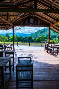 Tayland 'ın Chiangmai şehrinde Tayland tarzı teras..