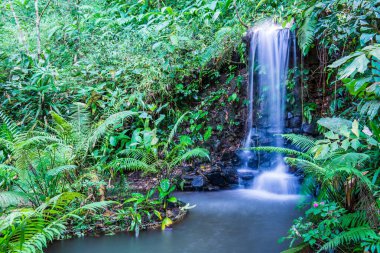 Tayland 'ın Chiang Rai eyaletindeki Khunkorn şelalesinde küçük bir şelale..
