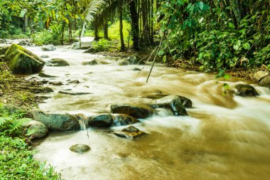 Su, Tayland 'ın Chiang Rai ilindeki Khunkorn şelalesinde akıyor..