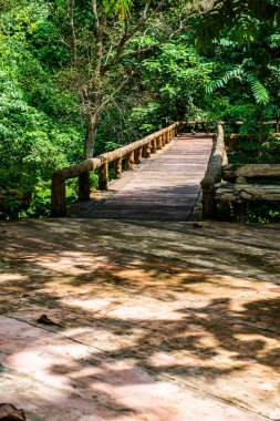 Phu Sang Ulusal Parkı, Tayland 'da küçük bir köprü..