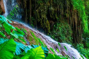 Phu Sang waterfall in Phayao province, Thailand.