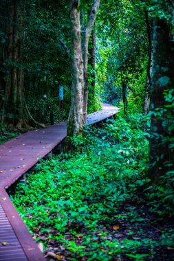 Phu Sang, Tayland 'da doğa yolu..