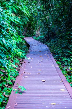 Phu Sang, Tayland 'da doğa yolu..