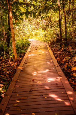 Phu Sang, Tayland 'da doğa yolu..