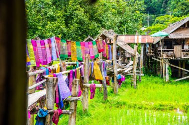 Tayland 'ın Pua bölgesinde küçük köprüsü olan pirinç tarlası..