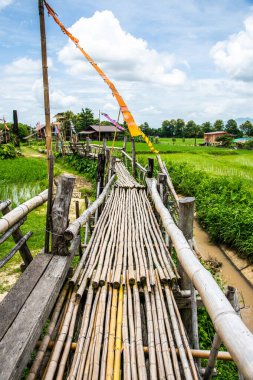 Tayland 'da pirinç tarlası olan küçük bir köprü..