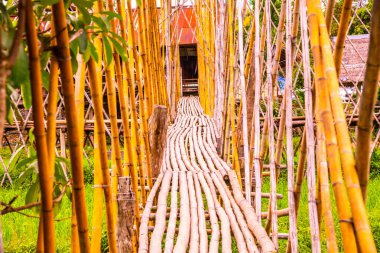 Tayland 'da pirinç tarlası olan küçük bir köprü..