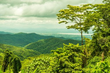 Kwan Phayao Gölü, Tayland.