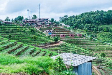 Mon Cham, Tayland 'daki dağdaki köy..