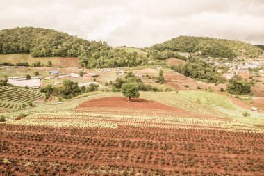 Mon Cham, Tayland 'daki dağdaki köy..