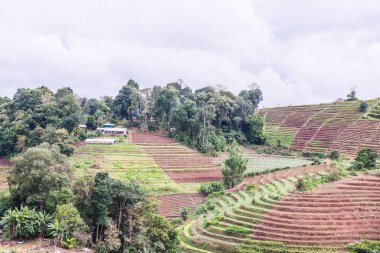 Mon Jam 'in Tayland' daki dağ manzarası.