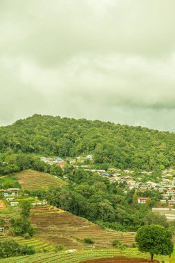 Mon Cham, Tayland 'daki dağdaki köy..