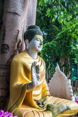 Darabhirom Ormanı Manastırı, Tayland 'daki Buda Staue..