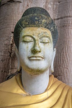 Darabhirom Ormanı Manastırı, Tayland 'daki Buda Staue..