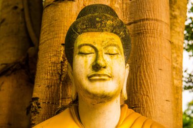 Darabhirom Ormanı Manastırı, Tayland 'daki Buda Staue..