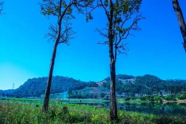 Widok Moiuntain Prowincji Chiangmai Tajlandia — Zdjęcie stockowe